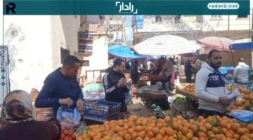 سعر الطماطم اليوم يتصدر الأسواق بدرجة غير مسبوقة